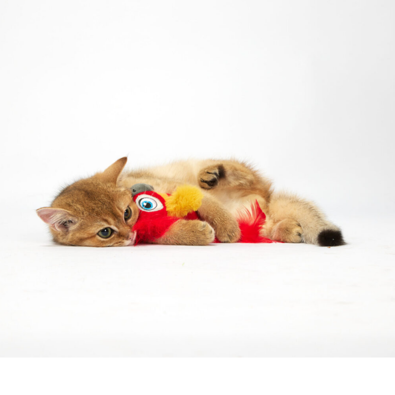 FOFOS Parrot with Catnip Balls Interactive Toy for Cats (Red)