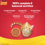 Friskies Meaty Grills Adult Dry Cat Food – made with Chicken, Turkey, Lamb and Vegetables - Image 8