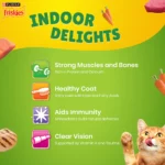 Friskies Indoor Delights Adult Dry Cat Food – made with Chicken, Salmon, Tuna and Vegetables - Image 3