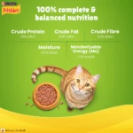 Friskies Indoor Delights Adult Dry Cat Food – made with Chicken, Salmon, Tuna and Vegetables - Image 6