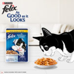 Felix Chicken with Jelly Adult Cat Wet Food, 85g - Image 2