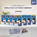 Felix Chicken with Jelly Adult Cat Wet Food, 85g - Image 5