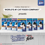 Felix Chicken with Jelly Kitten Cat Wet Food, 85g - Image 5