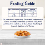 Felix Chicken with Jelly Kitten Cat Wet Food, 85g - Image 8