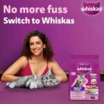 Whiskas Mackerel Junior Cat Dry Food, 450 g - Image 2