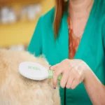 Andis Medium Pin Pet Brush - Green - Image 4