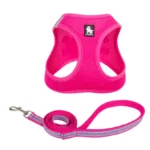 Truelove Mesh Harness and Leash Set For Cats and Small Medium Dog Breeds, Fuchsia