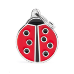Big Ladybug Name Tag