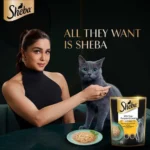 Sheba Rich Premium Tuna Pumpkin & Carrot In Gravy Wet Cat Food, 70 gm - Image 11