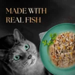 Sheba Rich Premium Tuna Pumpkin & Carrot In Gravy Wet Cat Food, 70 gm - Image 10