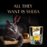 Sheba Rich Premium Tuna Pumpkin & Carrot In Gravy Wet Cat Food, 70 gm - Image 6