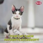 Trixie Safer Life Collar with Bell for Cats, Reflective, 1 Pcs - Image 3