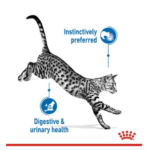 Royal Canin Adult Indoor Sterilised Salsa Gravy Wet Cat Food - 85g - Image 2