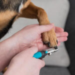 Trixie Cat Nail Clipper - Large - Image 3