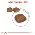 Royal Canin Urinary Care Adult Dry Cat Food - Image 3