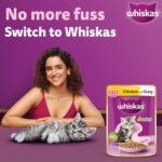 Whiskas Kitten Chicken in Gravy (2-12 months) 80 gm - Image 6