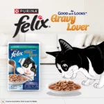 Felix Gravy Lover Meaty Mackerel Chunks Wet Cat Food, 70g - Image 6