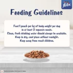 Purina Felix Gravy Lover Meaty Salmon Chunks Wet Cat Food, 70g - Image 5