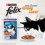 Purina Felix Gravy Lover Meaty Salmon Chunks Wet Cat Food, 70g - Image 6