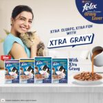 Purina Felix Gravy Lover, Meaty Tuna Chunks Wet Cat Food, 70g - Image 10
