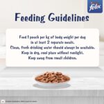 Purina Felix Gravy Lover, Meaty Tuna Chunks Wet Cat Food, 70g - Image 8