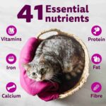Whiskas Ocean Fish Flavour Adult Cat Dry Food, 480 g - Image 11