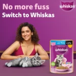 Whiskas Kitten Tuna for Cats 560g - Image 2