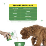 Well Fed Chicken Bone Broth for Dogs & Cats, 120 ml - Image 6
