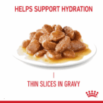 Royal Canin Hair & Skin Care Adult Gravy Wet Cat Food, 85g - Image 5
