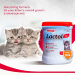 Beaphar Lactol Kitten Supplement - 200g - Image 3