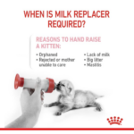 Royal Canin Baby Cat Milk, 300g - Image 3