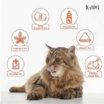 Kittos Tuna Mini Sticks Cat Treats - 35g - Image 3
