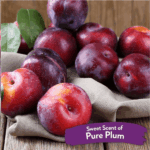 TropiClean Pure Plum Deodorizing Pet Spray, 236 ml - Image 3
