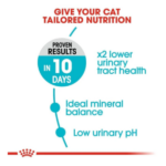 Royal Canin Urinary Care Adult Dry Cat Food - Image 4