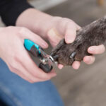 Trixie Cat Nail Clipper - Large - Image 6