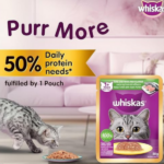Whiskas Tune & White Fish in Jelly Wet Cat (1+ year) Food - 80gm - Image 4