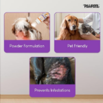 Pawpaya Tick and Flea Powderm, 100g - Image 5