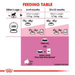 Royal Canin Kitten Sterilised Dry Cat Food - Image 4