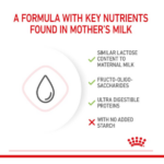 Royal Canin Baby Cat Milk, 300g - Image 6