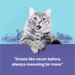 Catfest Chicken Meat Sticks Cat Treats 45 g - Image 4