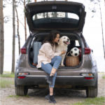 Ezra Pet Car Seat Cover - Image 4
