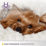 Hydra Forever Candy Cologne, 130 ml - Image 5