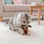 Gigwi Eco Line Dog Catch And Scratch With Catnip Rattan-Wood-Plush Toy for Cats - Image 2
