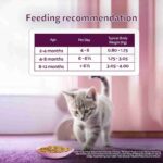 Whiskas Tasty Mix Junior Pouch Chicken Tuna Sweet Potato Flavor in Gravy for Cats 70g - Image 11