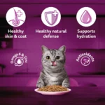 Whiskas Adult Salmon with Gravy Cat Food 85g - Image 6