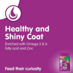 Whiskas Tuna Flavour Adult (+1 year) Dry Cat Food - Image 5