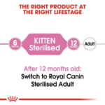 Royal Canin Kitten Sterilised Dry Cat Food - Image 3