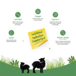 Well Fed Lamb Bone Broth for Dogs & Cats, 120 ml - Image 4