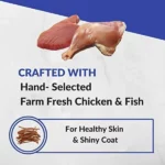 Cataholic Chicken and Tuna Cat Treats - 30 g - Image 3