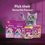 Whiskas Mackerel Junior Cat Dry Food, 450 g - Image 14